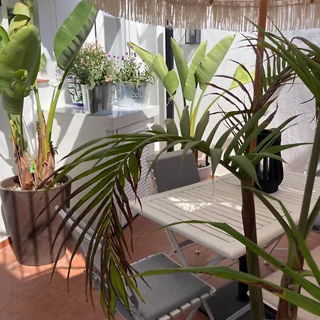 Feriehus Casa Mia Old Town Cozy House 3 Bedrooms *